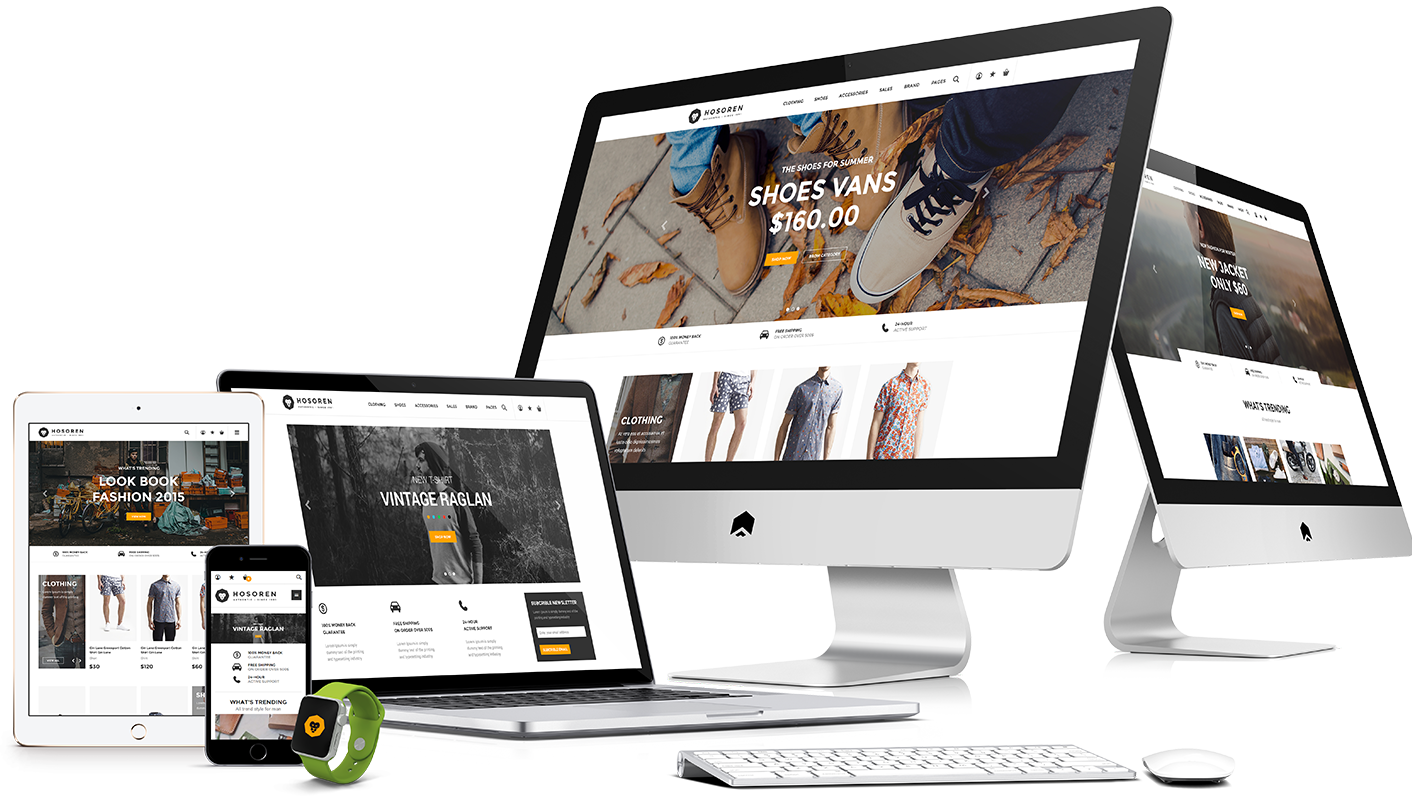 Best Web Developer of Online Stores